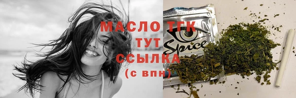 прущие грибы Алзамай
