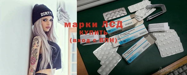 прущие грибы Алзамай