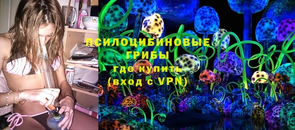 apvp Гусиноозёрск